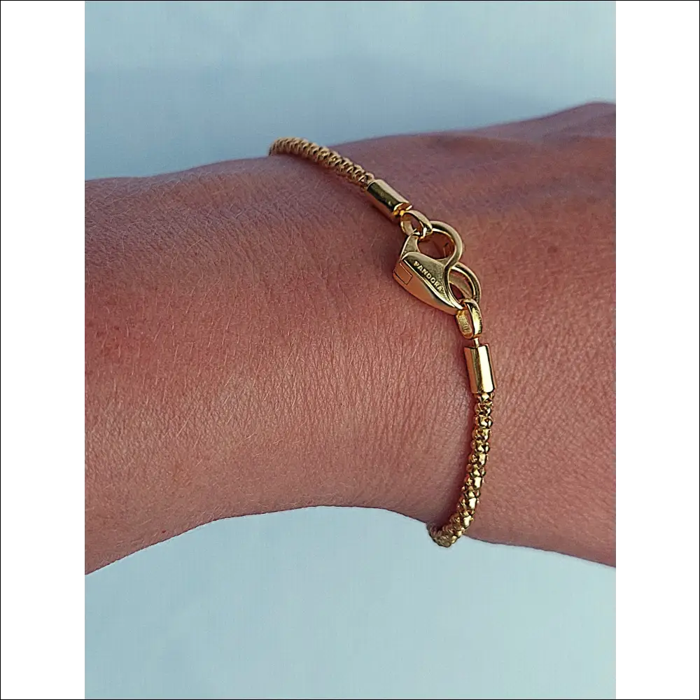 Pandora Moments Armband 562731C00 – Studded Chain 14K Guldplätering
