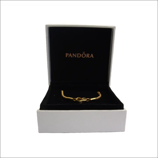 Pandora Moments Armband 562731C00 – Studded Chain 14K Guldplätering